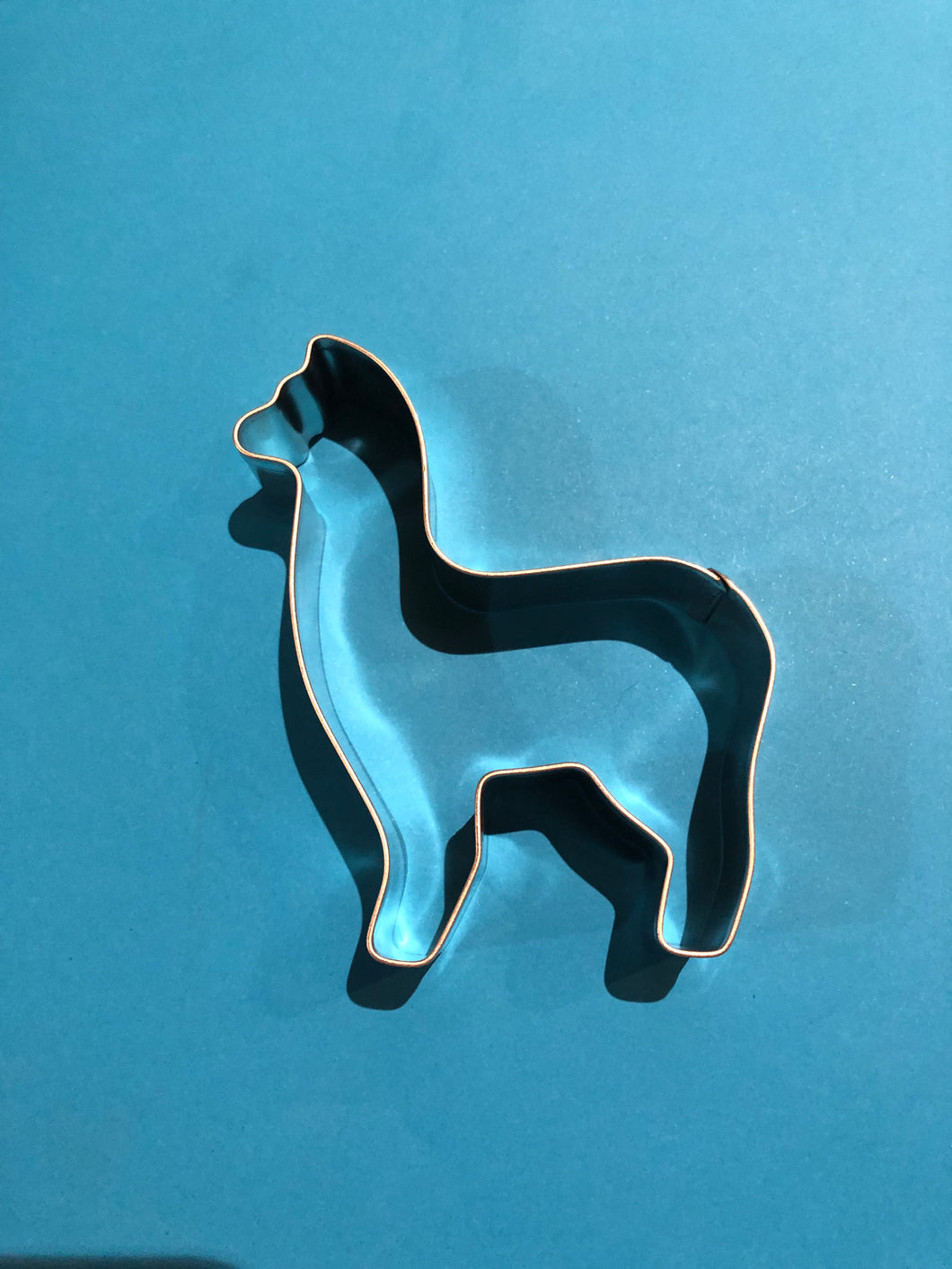 Alpaca