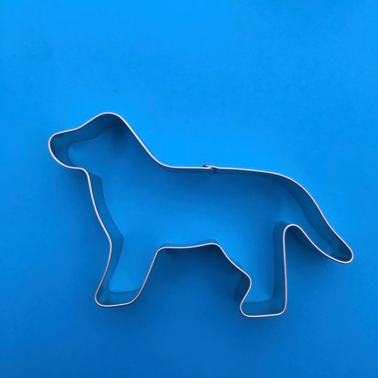 Labrador