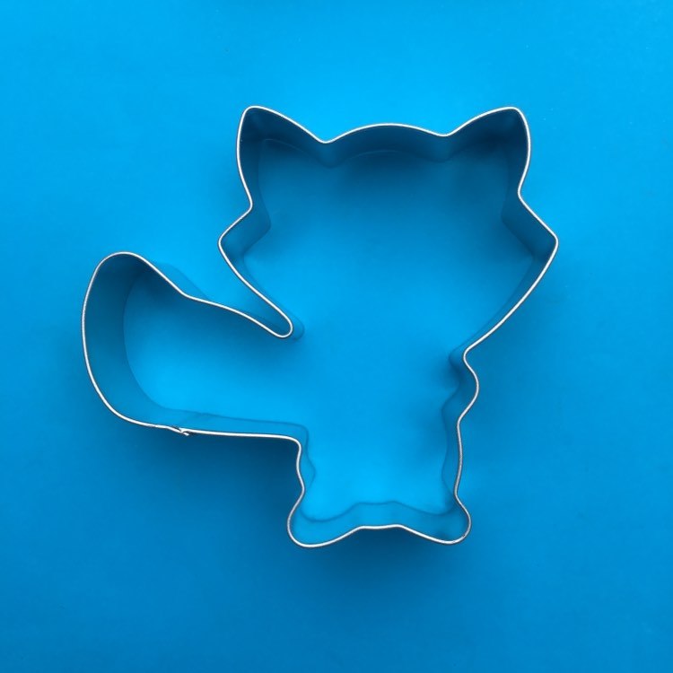 Raccoon