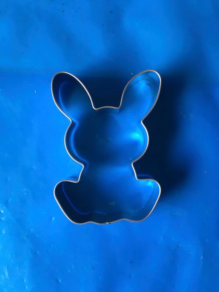Sitting Bunny